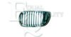 EQUAL QUALITY G0276 Radiator Grille